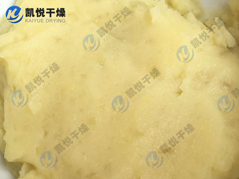 土豆卵白、豌豆卵白閃蒸枯燥機(寧夏固原XX淀粉)